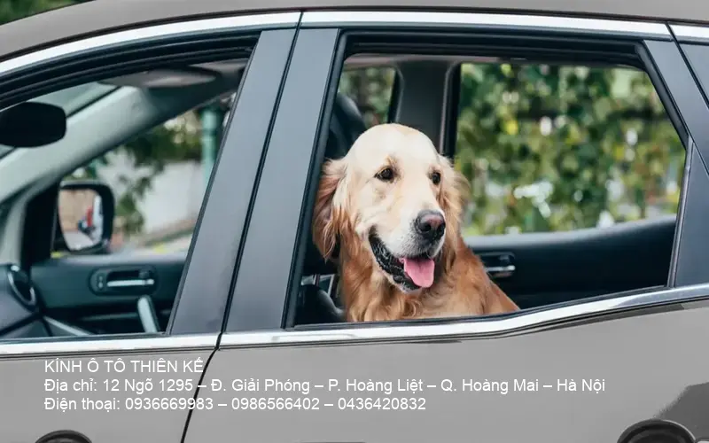 Xe van dịch vụ thay kính ô tô tại nhà Hà Nội đậu sẵn sàng phục vụ khách hàng.