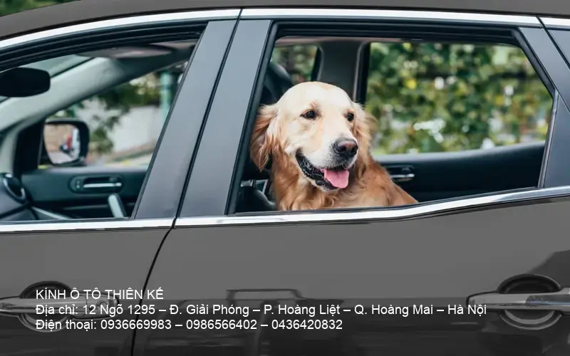 Repair of a car side window